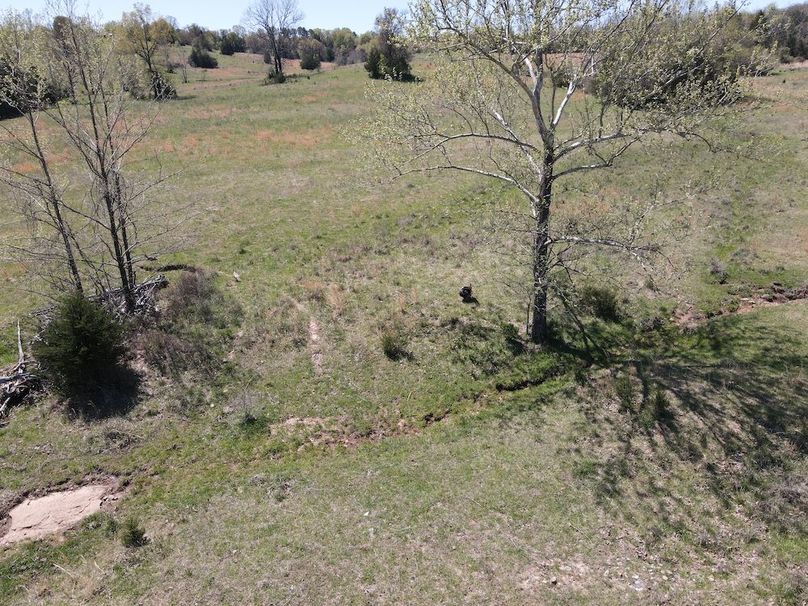 DJI_0227