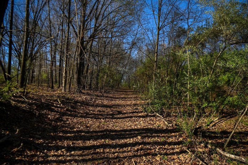 vandalia 450 (2)-2468