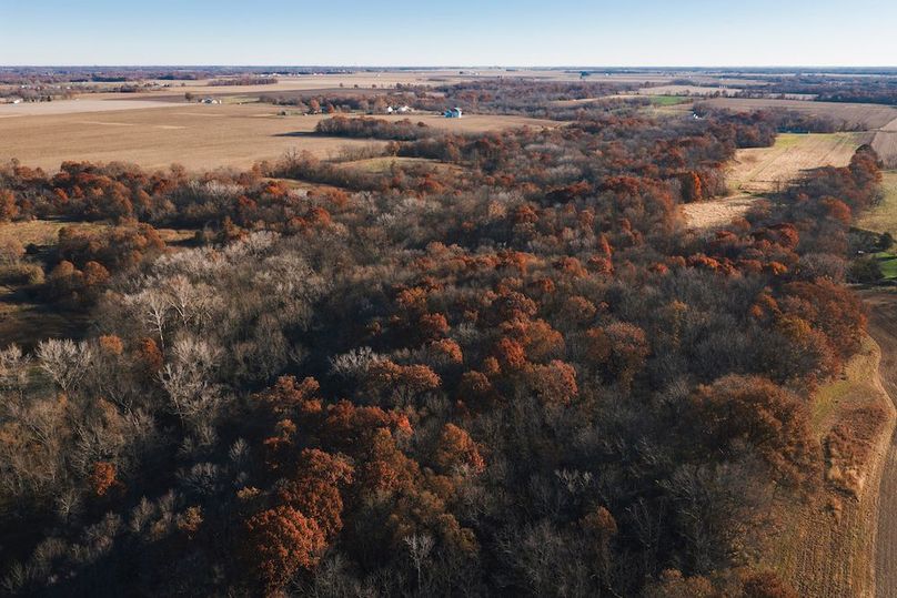 DJI_20251116083348_0113_D