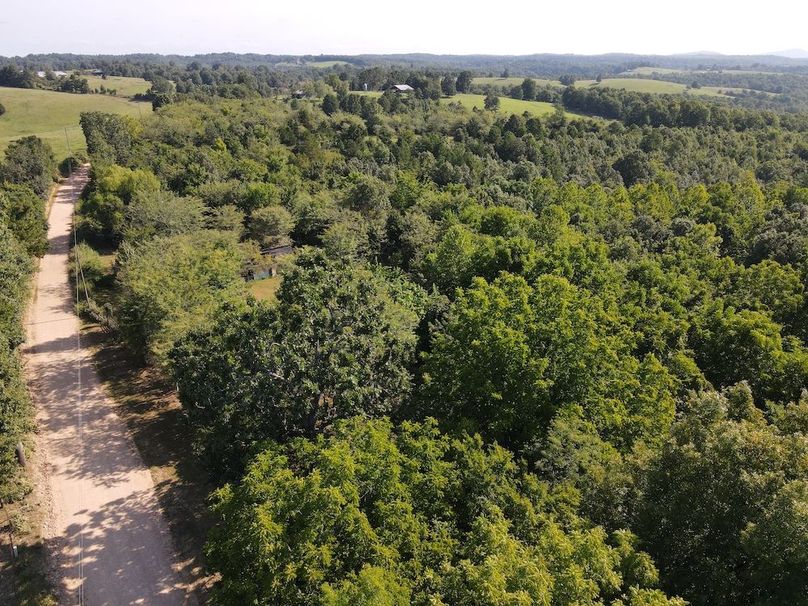 dji_fly_20240808_094920_287_1723128580099_photo