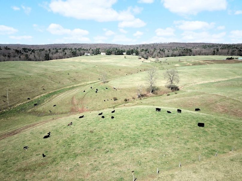 DJI_0020
