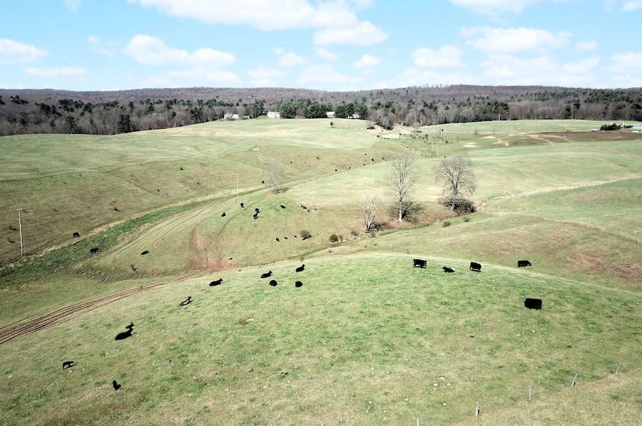 DJI_0020