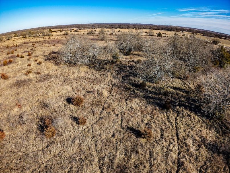 DJI_20260119150352_0870_D