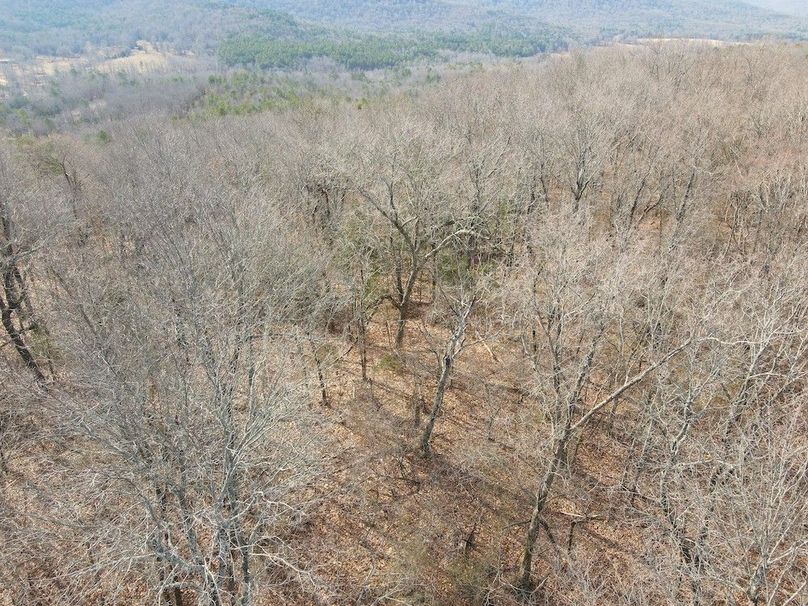 DJI_0629