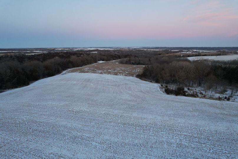 DJI_0566