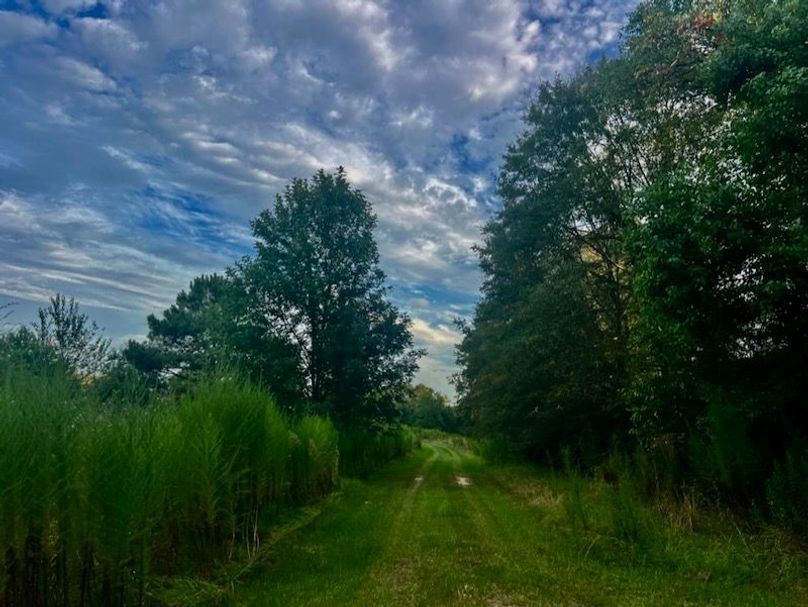 FFE7324E-150F-405A-A64B-8ACD4565513D_1_105_c