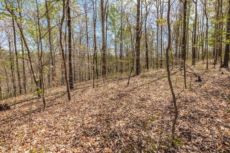 75-web-or-mls-0 Mound Creek Rd-45