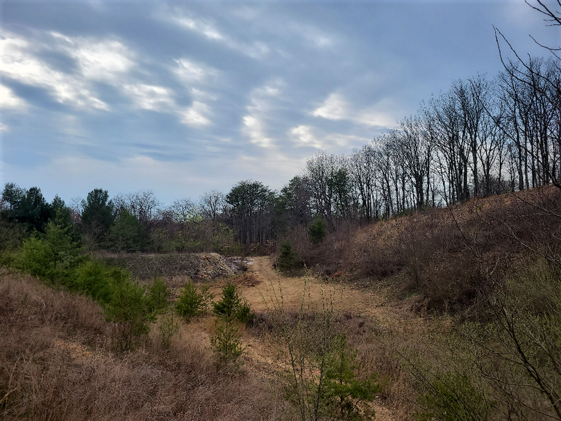 2.87ac_CokesburyRd_CECIL_PIC_004