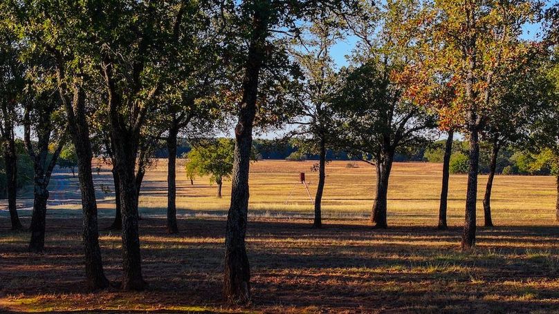 20.View of the field