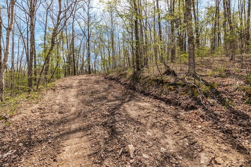 33-web-or-mls-0 Mound Creek Rd-3