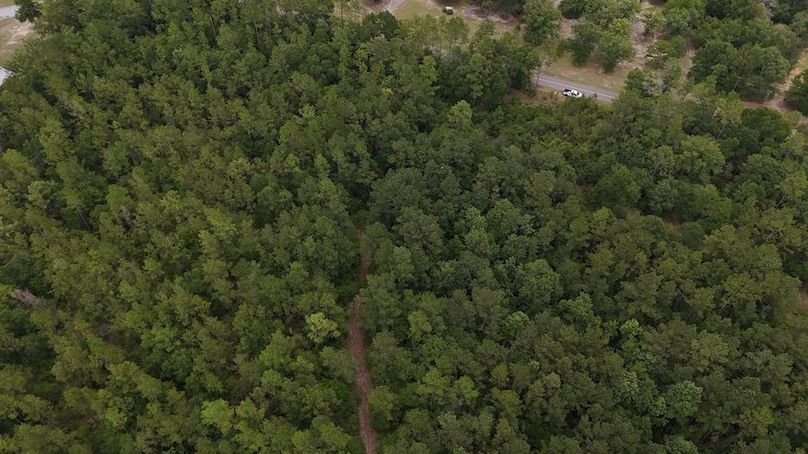 DJI_20240703115541_0003_D