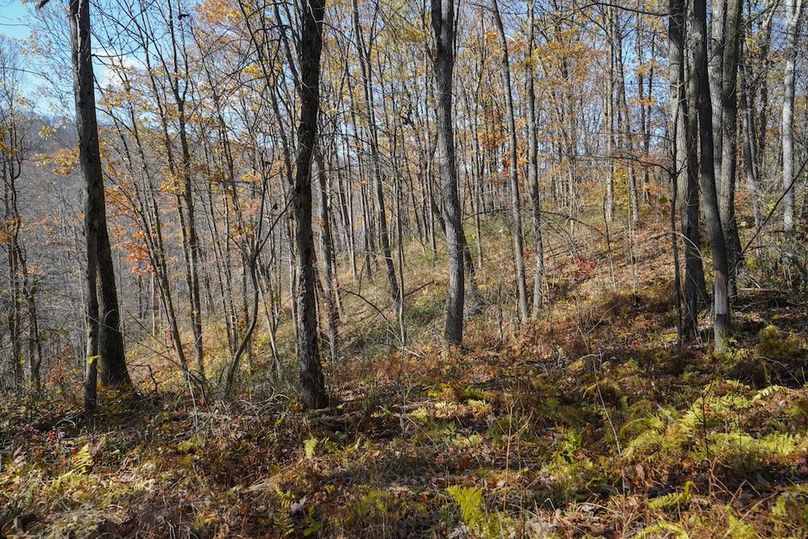 Somerset, 10.91, Tinkey-30