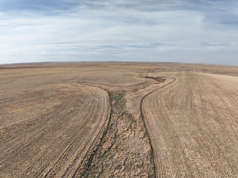 DJI_0384