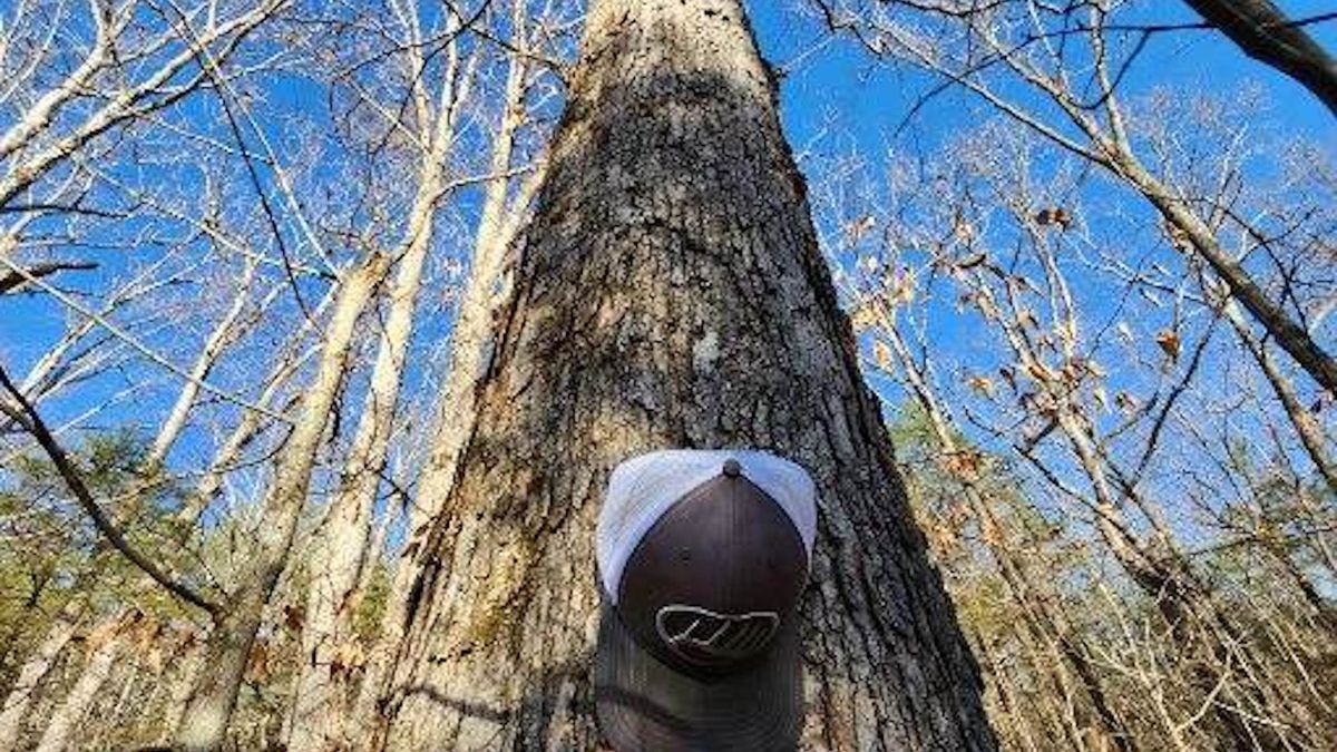The Camp Bordering Natchez Trace State Park In TN Whitetail Properties