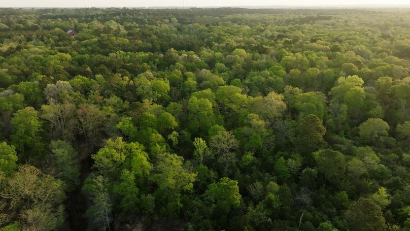 Marion TX 143 and 117 Featured_WEB.00_05_54_09.Still018