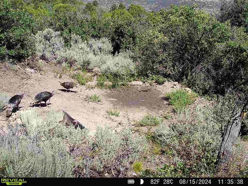 860516060007964-100-2-08152024113538-V-W1003142