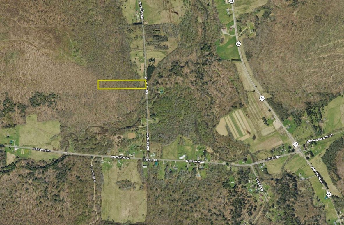 Screen Shot 2024-03-16 at 5.01.15 PM