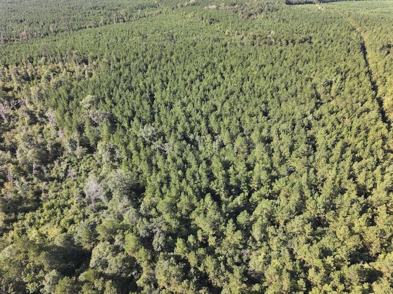 dji_fly_20250908_093920_0417_1757354103435_photo