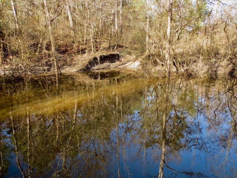 CA1C9FFC-0874-48B6-9CA7-B219911F09AA_1_105_c