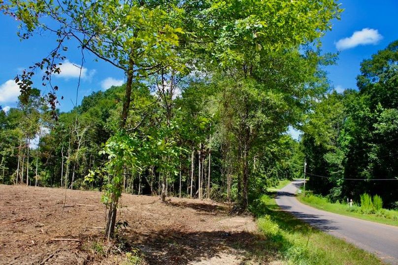 159DA998-E749-4D19-878A-7FD64508A048_1_105_c