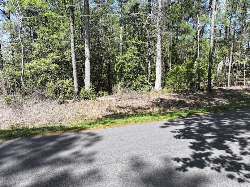 dji_fly_20260320_115048_0615_1776087140129_photo