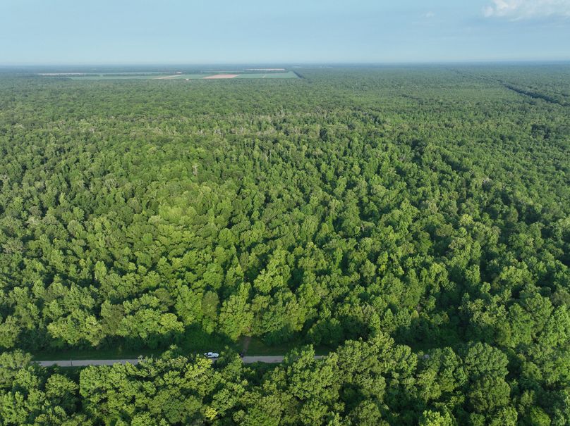 dji_fly_20230630_080612_185_1688137807672_photo