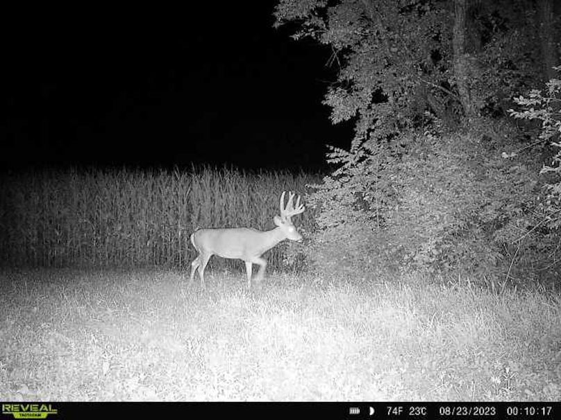 6f445618-3a4e-486c-b03d-190aa7601f1b