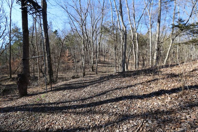 008 one of the ladder stands located near the south boundary in the valley