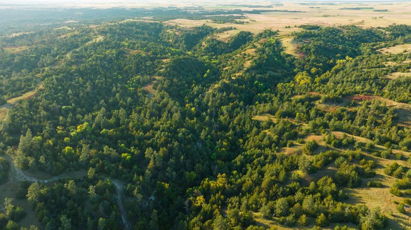 Keya Paha NE 2700_Pro Photo-42