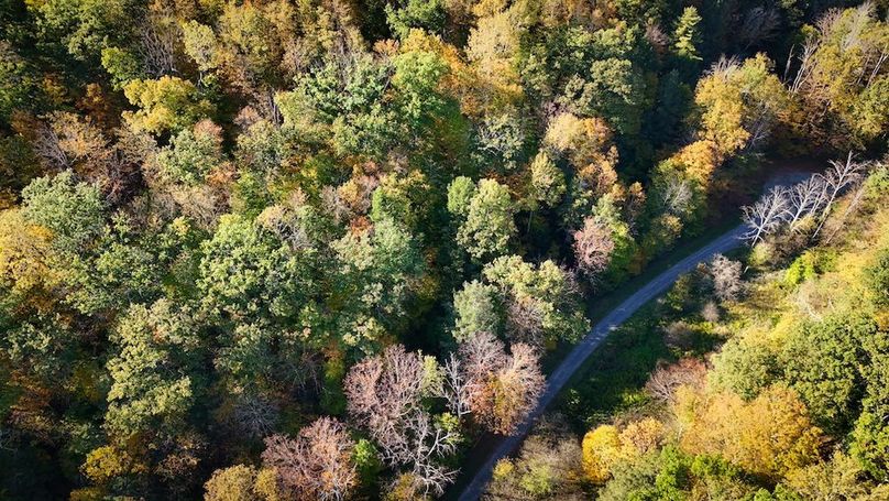 Tompkins NY 87 Allen Photos 37