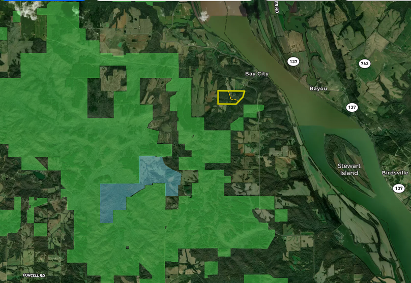 Screen Shot 2023-11-21 at 8.51.37 AM