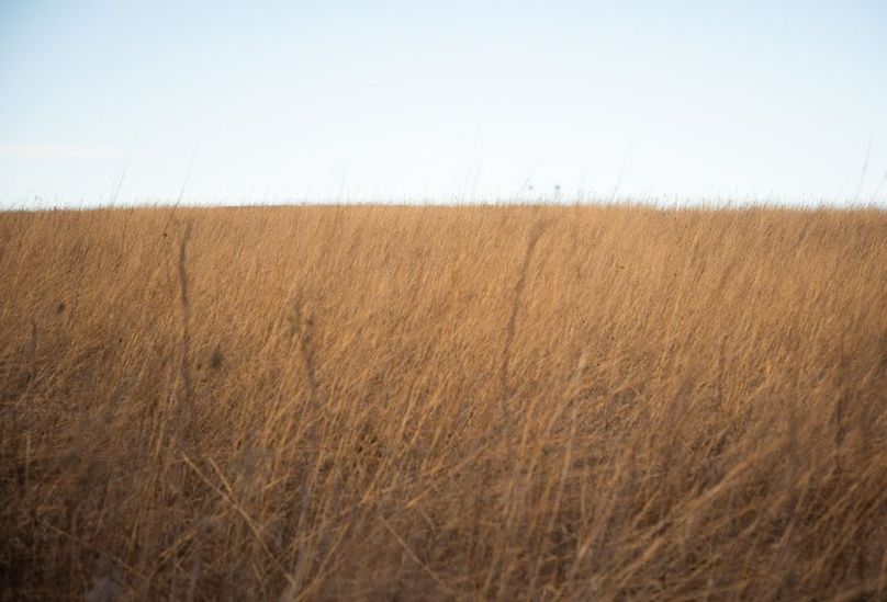 MONTGOMERY CO IA 156.78_32