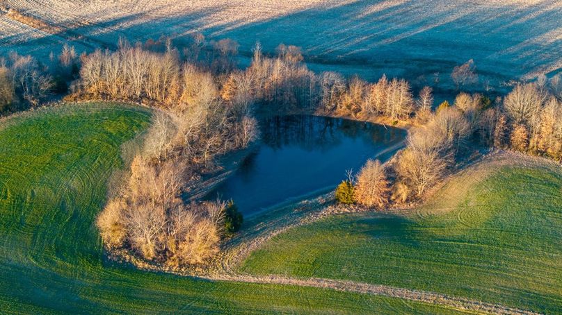 Copy of DJI_20260115075717_0012_D Large