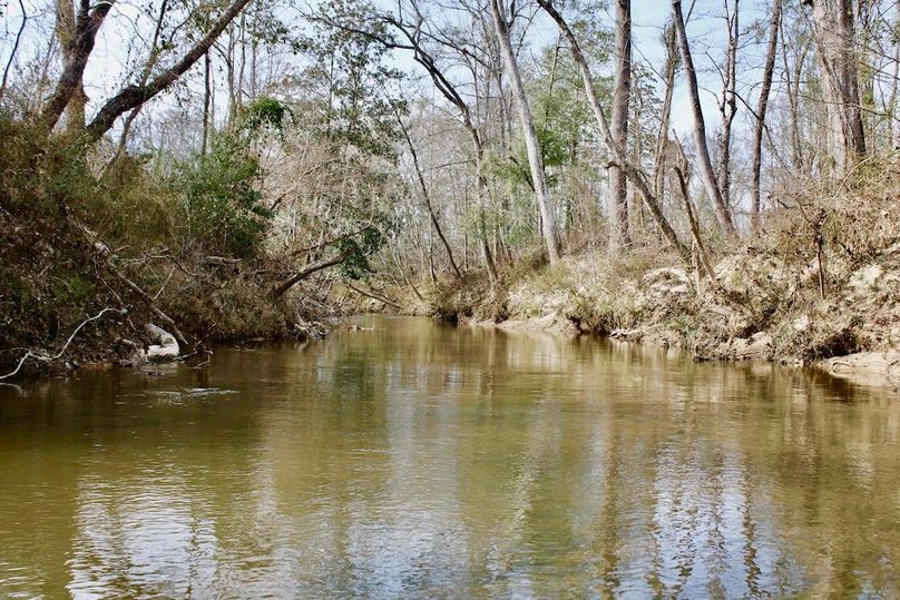 76C0AEEF-D0E2-4978-A4B3-0E63E4FA507F_1_201_a