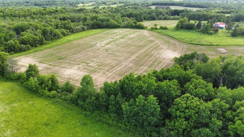 dji_fly_20240610_181830_382_1718061518273_photo_optimized