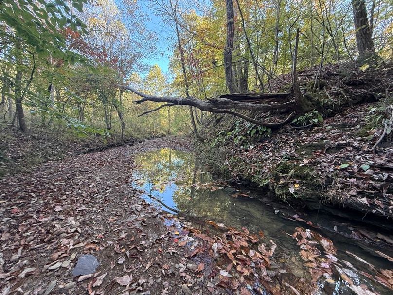 015 beautiful view of the creek with the fall leaves on it