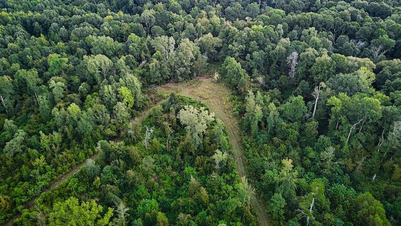 Hinds Co - 78 - Newman-17