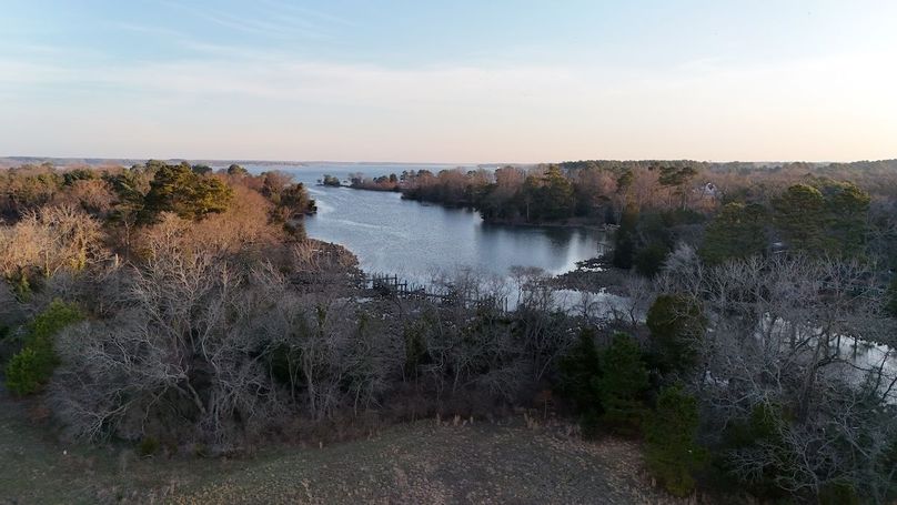 dji_fly_20260311_075648_0062_1773239673672_photo