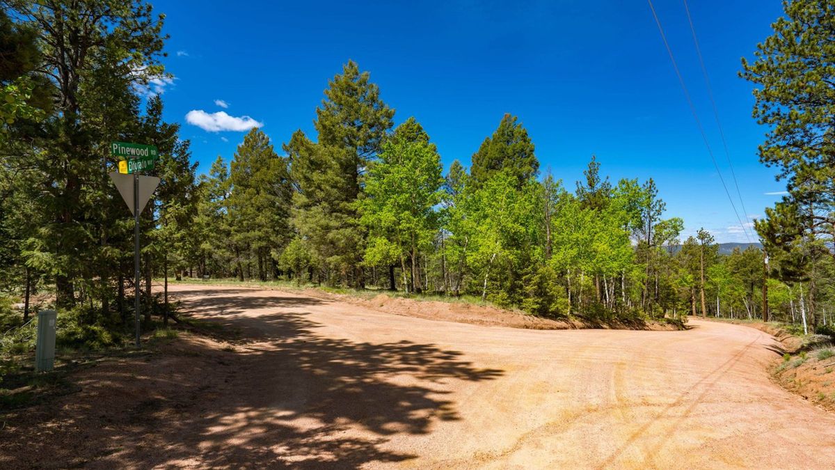 Forested Hillside Lot In Colorado Mountain Estates | Whitetail Properties