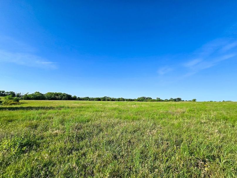 Copy of 20250729_082528