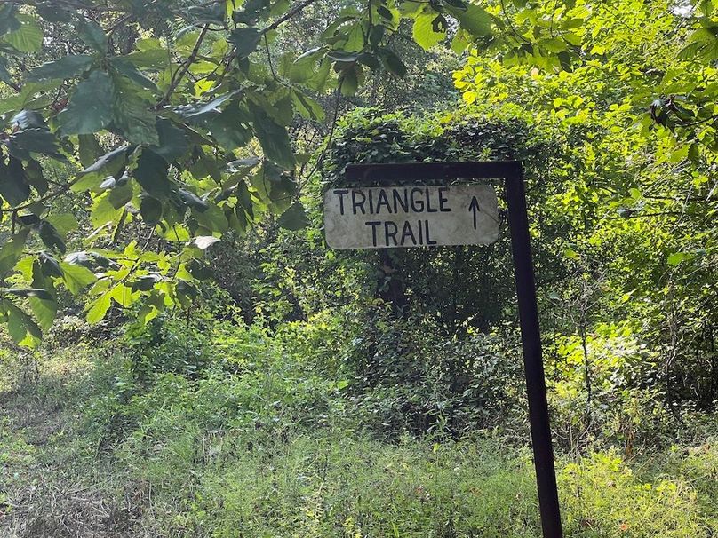 Triangle Trail