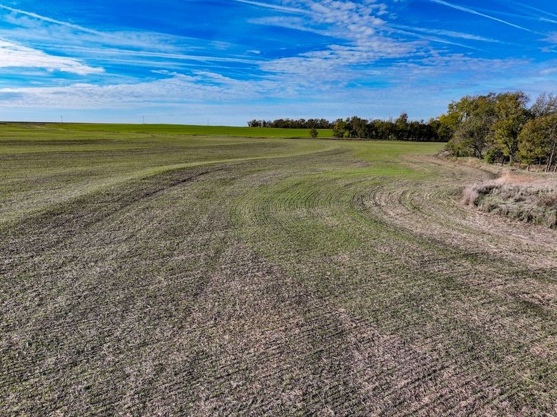 Dickinson Co, 154.5_033