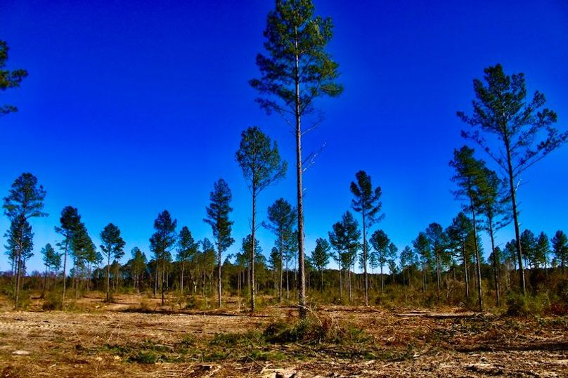 86483412-4746-4AC4-987C-936DF6FE72C6_1_201_a