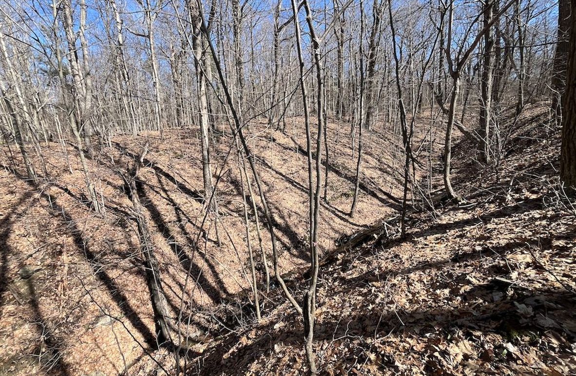 Ontario_9.6_Powell Photo 3