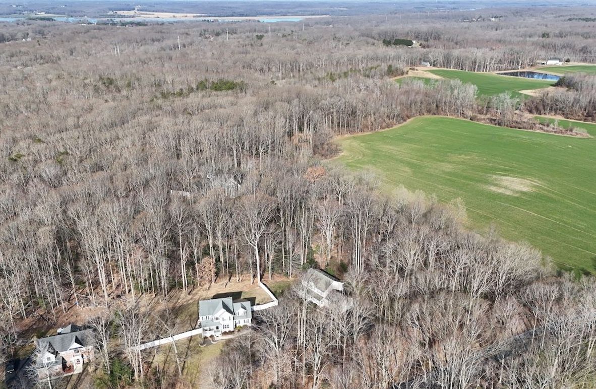 dji_fly_20250310_095626_0005_1741884648768_photo