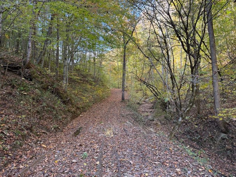 006 view of the nice trail system leading through the property near the stream