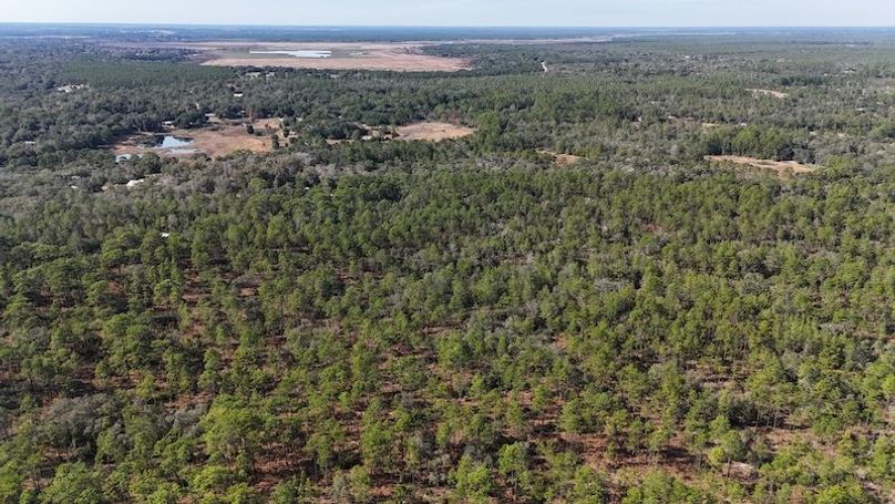 dji_fly_20251204_132742_0029_1764872861120_photo