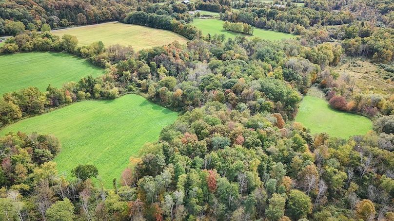 Cayuga_55.02_Herman Photo 6