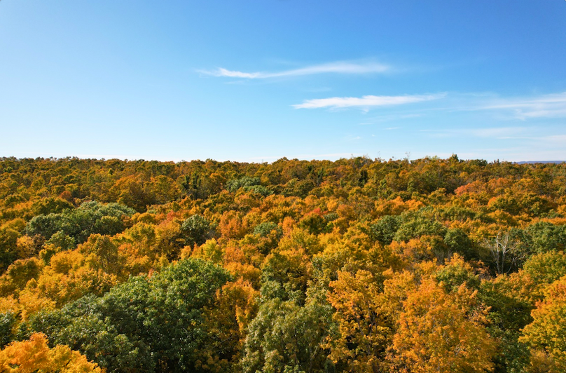 Screenshot 2025-10-29 at 11.28.56 AM