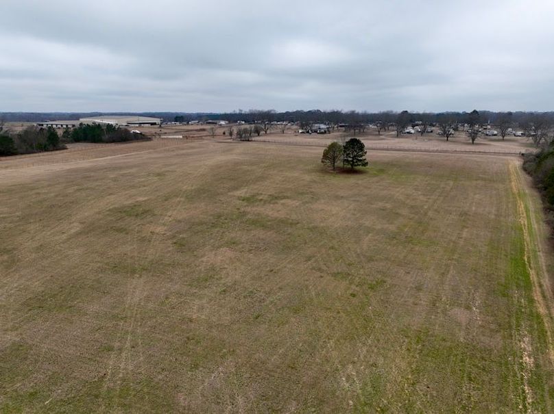 dji_fly_20260210_104252_254_1770738260280_photo